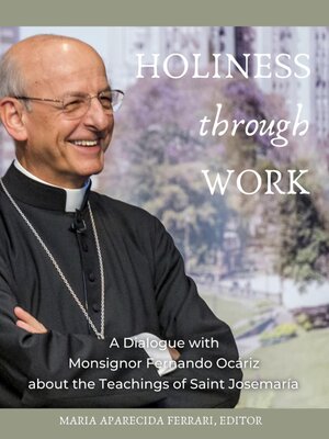 cover image of Holiness Through Work